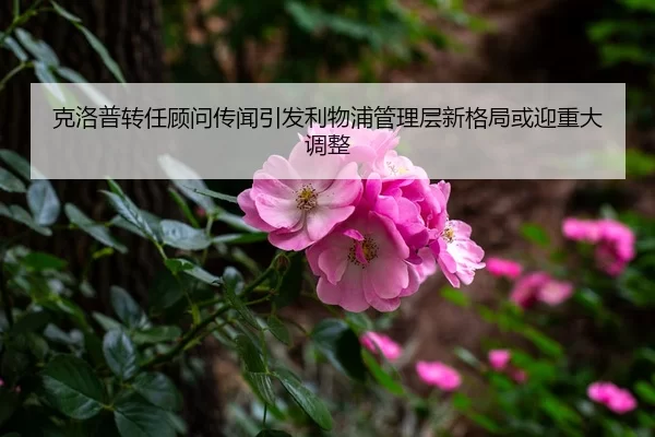 克洛普转任顾问传闻引发利物浦管理层新格局或迎重大调整
