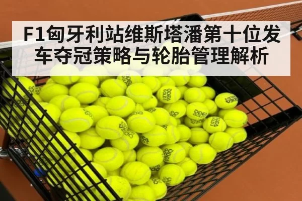 F1匈牙利站维斯塔潘第十位发车夺冠策略与轮胎管理解析